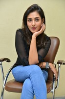 Madhu Shalini Stills at Goodachari Success Meet